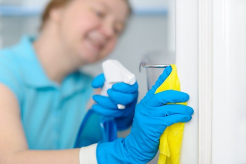 Sustainability-focused carpet cleaning service with eco-friendly transport