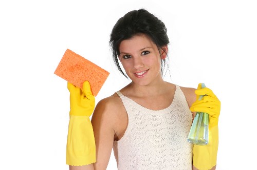 Deep carpet cleaning for lingering pet smells in a Norbury property