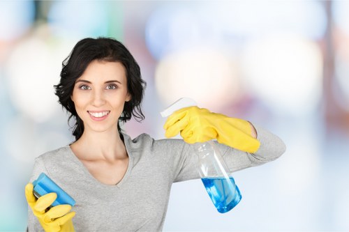 Hot water extraction process for carpet cleaning in Norbury