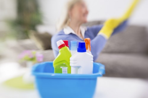 Payment methods and security icons for a cleaning service