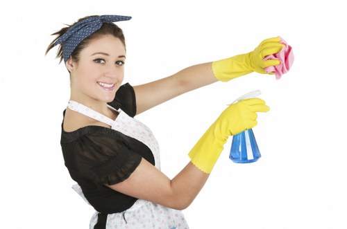 Inclusive web access for Norbury carpet cleaning services