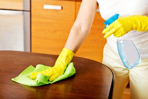 Cleaning a sofa affected by pet odour in Norbury